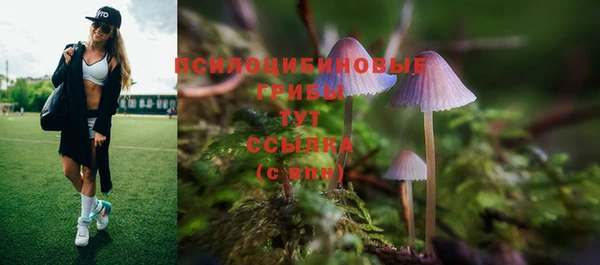 ешки Абаза