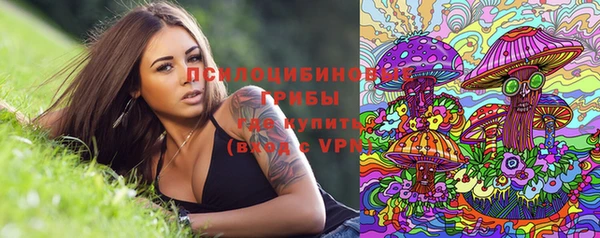 ешки Абаза