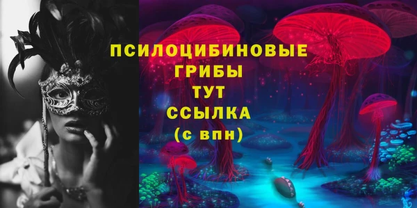 ешки Абаза