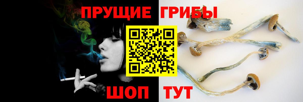 Галлюциногенные грибы Cubensis  Вход с VPN  Иркутск  наркота  Псилоцибиновые грибы мицелий 